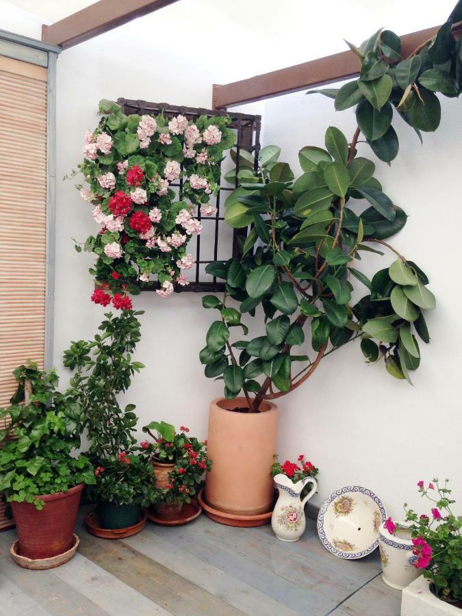 Patio San Lorenzo Córdoba Eksteriør billede